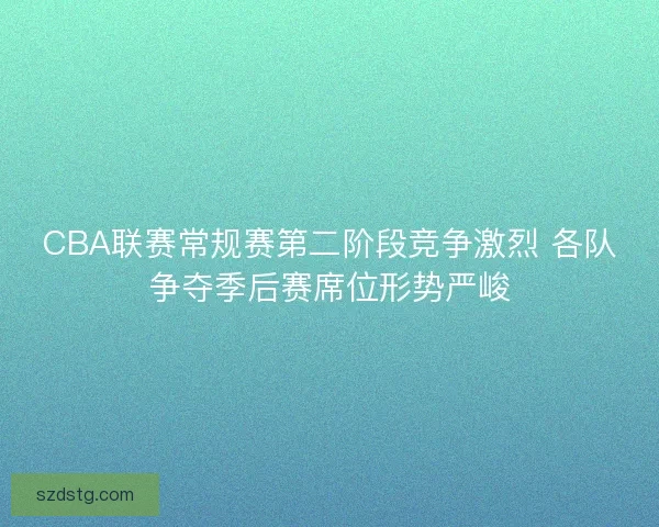 CBA联赛常规赛第二阶段竞争激烈 各队争夺季后赛席位形势严峻