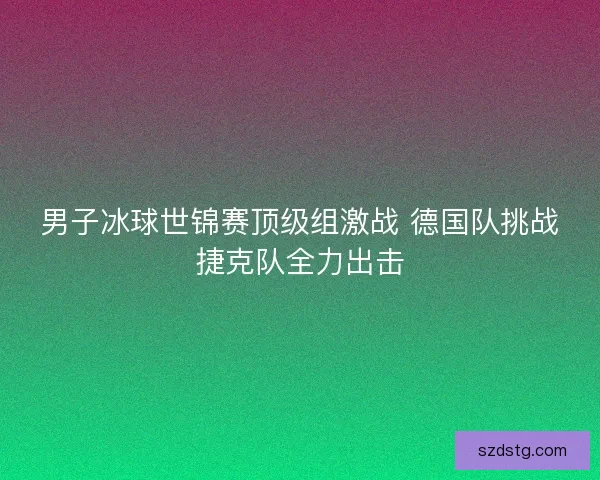 男子冰球世锦赛顶级组激战 德国队挑战捷克队全力出击